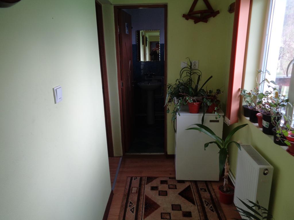 Gasthaus Enduro Bica Hotel Karánsebes Kültér fotó